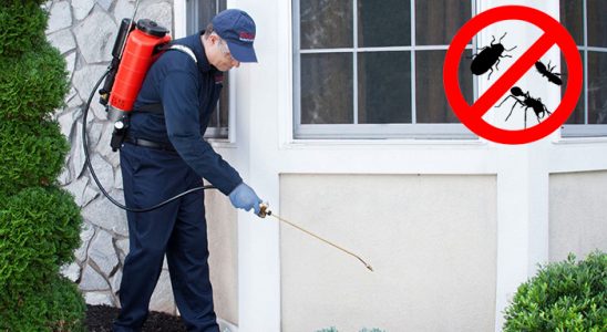 Savaştepe Tahtakurusu İlaçlama böcek ilaçlama ve haşere kontrolü — ilaclama-tr.com